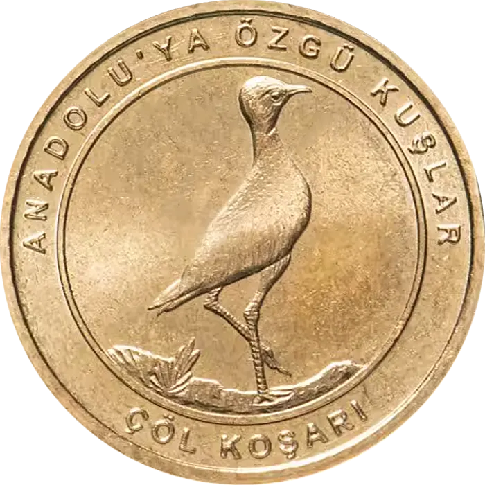 Çöl Koşarı